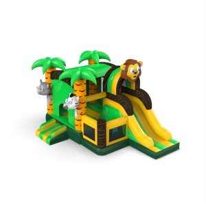 Inflatable with slide -...