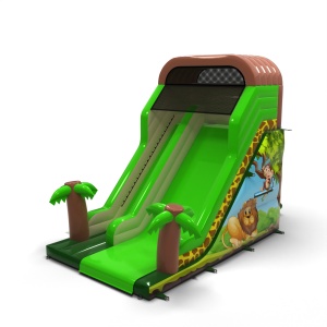 Inflatable slide with print...