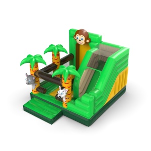 Inflatable with slide -...