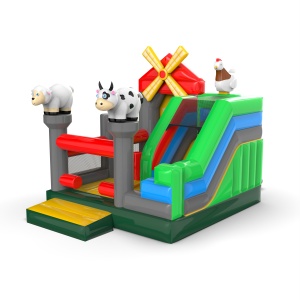 Inflatable with slide -...