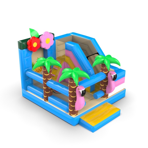 Inflatable with slide - Hawaiian combo
