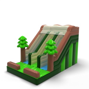 Double inflatable slide in...