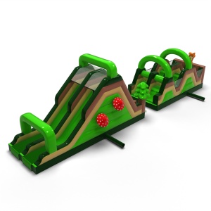Inflatable obstacle course...