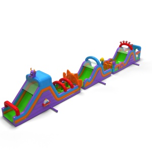 Inflatable obstacle course...