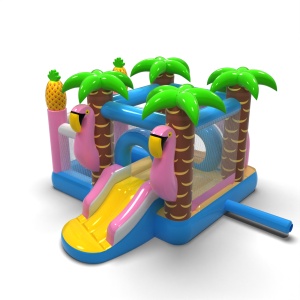Small inflatable castle...