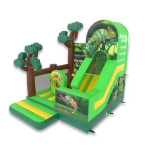 Inflatable with combo slide...