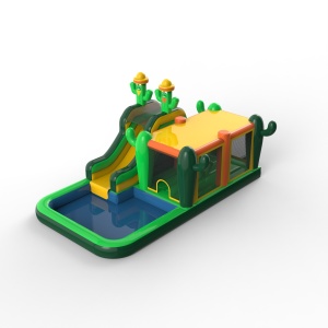 Desert water slide with...
