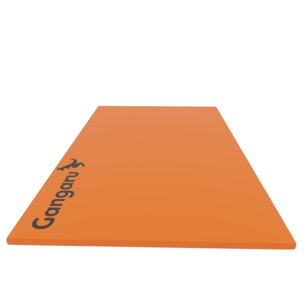 Inflatable mat FunFlexMat