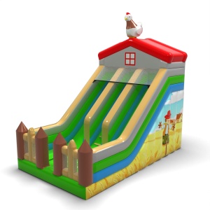 Double inflatable slide...