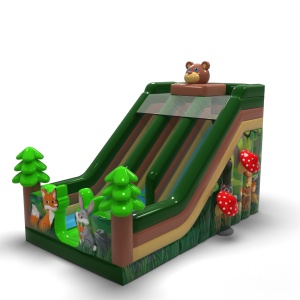 Double inflatable slide...