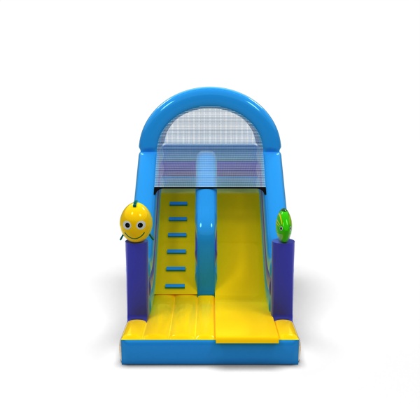 Inflatable slide with print in the marine theme