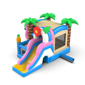 Hawaiian bouncy castle combo