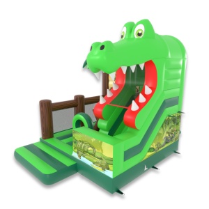 Inflatable with slide...